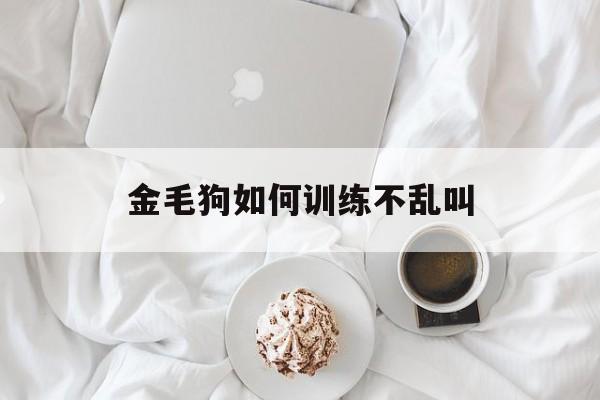 金毛狗如何训练不乱叫(金毛狗怎么训练不随地大小便)