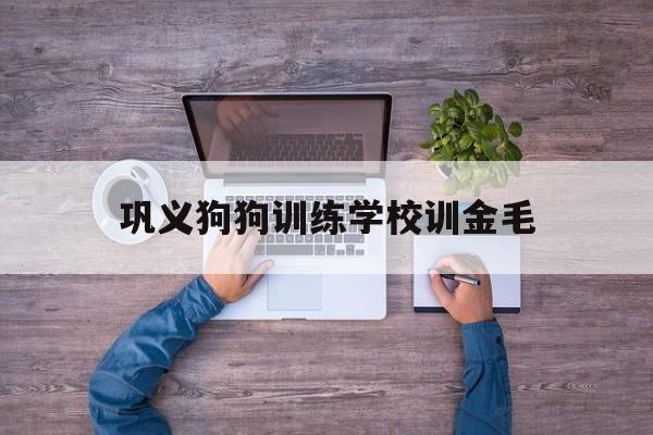 巩义狗狗训练学校训金毛(巩义哪里有给宠物狗美容的)