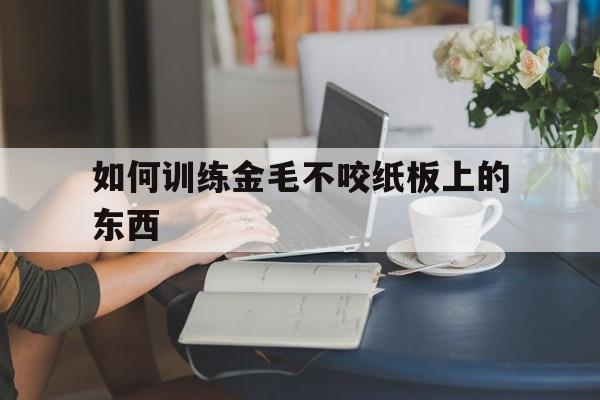 包含如何训练金毛不咬纸板上的东西的词条