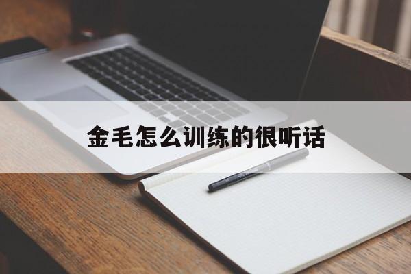 金毛怎么训练的很听话(怎么训练金毛的各项技能)