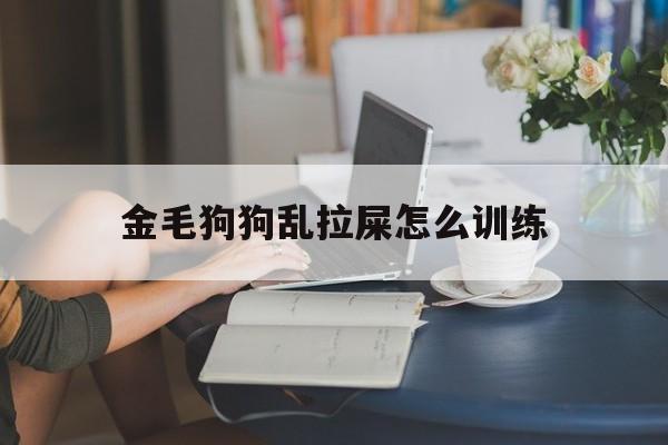 金毛狗狗乱拉屎怎么训练(金毛狗狗乱拉屎怎么训练的)