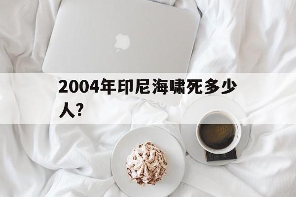 2004年印尼海啸死多少人?(2004年印尼大海啸多少人丧生)