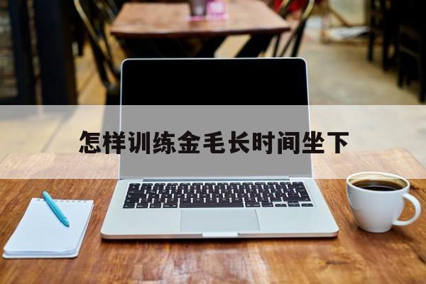 怎样训练金毛长时间坐下(怎么训练金毛可以让金毛长时间在固定的位置上)