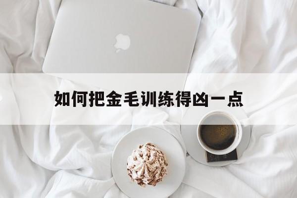 如何把金毛训练得凶一点(怎样才能把金毛训练得非常听话)