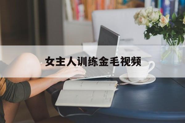 女主人训练金毛视频(女主人训练金毛视频在线观看)