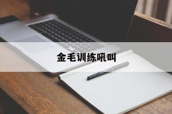 金毛训练吼叫(金毛总是叫怎么训练)