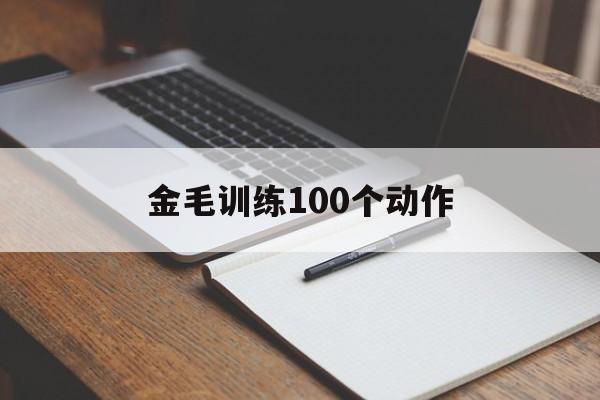 金毛训练100个动作(金毛训练的正确方法,你知道吗?)