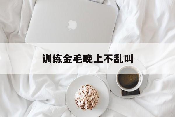 训练金毛晚上不乱叫(怎么训练金毛晚上不叫)