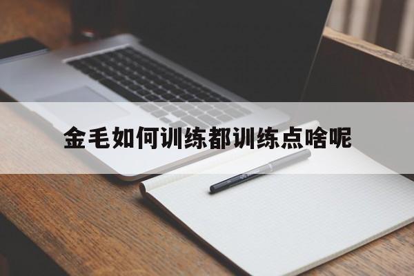 金毛如何训练都训练点啥呢(金毛怎么训练才听话的免费教程)