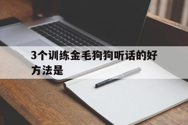 3个训练金毛狗狗听话的好方法是(3个训练金毛狗狗听话的好方法是什么意思)