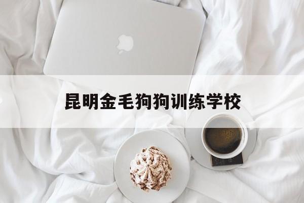 昆明金毛狗狗训练学校(昆明金毛狗狗训练学校电话)