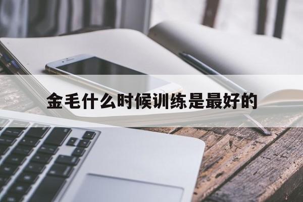 金毛什么时候训练是最好的(金毛狗什么时候开始训练大小便)