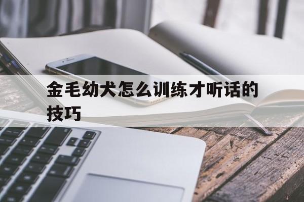 金毛幼犬怎么训练才听话的技巧(金毛幼犬怎么训练才听话的技巧和方法)