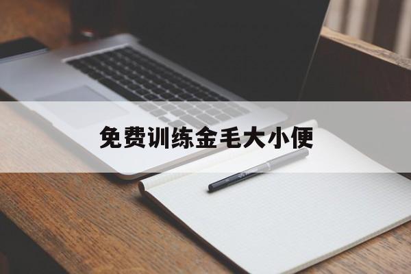 免费训练金毛大小便(如何训练金毛拉屎撒尿)