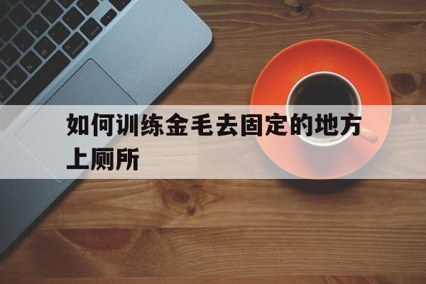 如何训练金毛去固定的地方上厕所(怎样训练金毛狗狗在固定地方大小便)