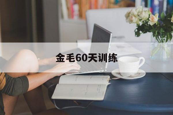 金毛60天训练(金毛训练最佳时机)