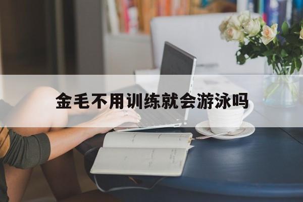 金毛不用训练就会游泳吗(金毛不用训练就会游泳吗为什么)