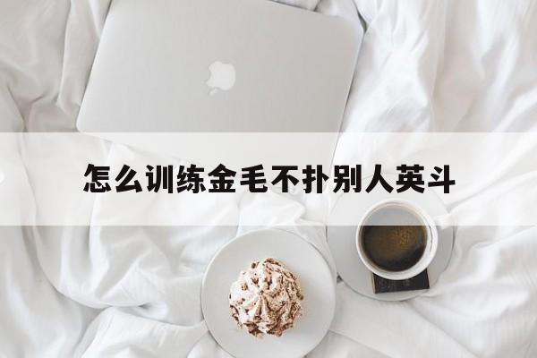 怎么训练金毛不扑别人英斗(如何训练金毛不在外面乱吃东西)