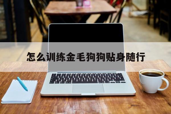 怎么训练金毛狗狗贴身随行(怎么训练金毛可以让金毛长时间在固定的位置上)