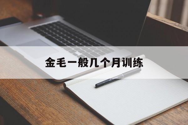 金毛一般几个月训练(金毛几个月开始训练比较合适)