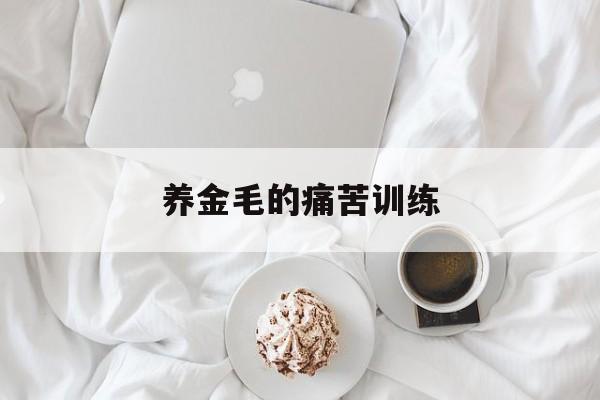 养金毛的痛苦训练(养金毛的痛苦训练有哪些)