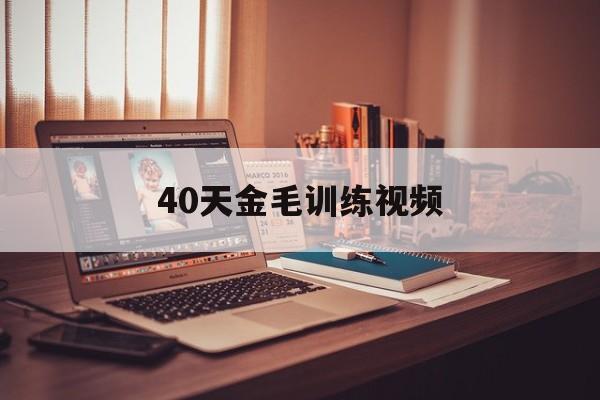 40天金毛训练视频(金毛幼犬训练视频教程)