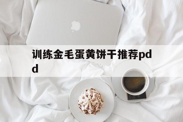 关于训练金毛蛋黄饼干推荐pdd的信息