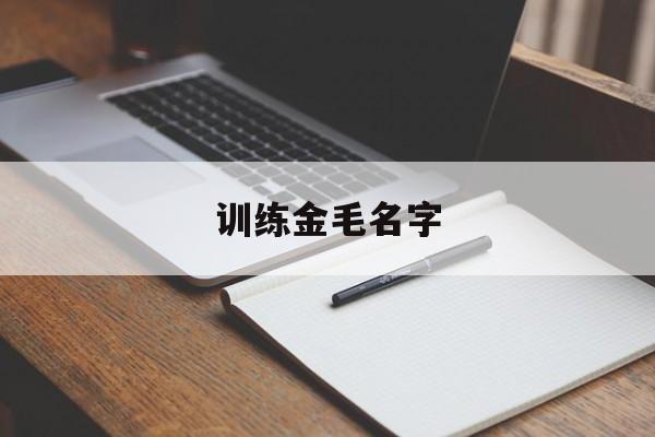 训练金毛名字(怎样给金毛取名字好听)