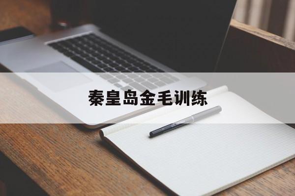 秦皇岛金毛训练(秦皇岛金毛犬价格)