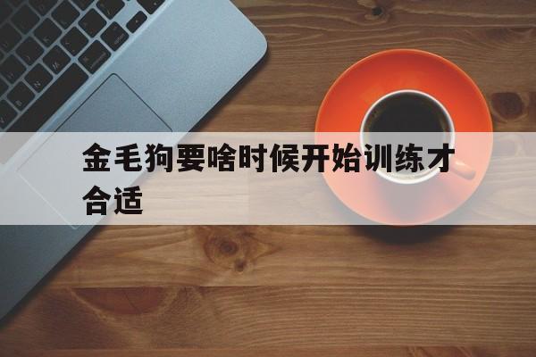 金毛狗要啥时候开始训练才合适的简单介绍