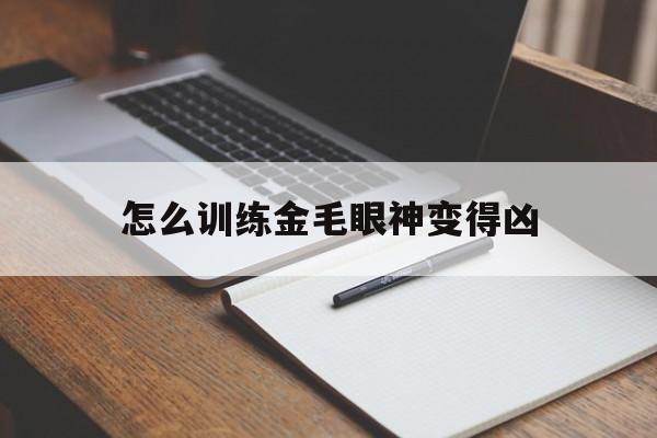 怎么训练金毛眼神变得凶(怎么训练金毛眼神变得凶猛)