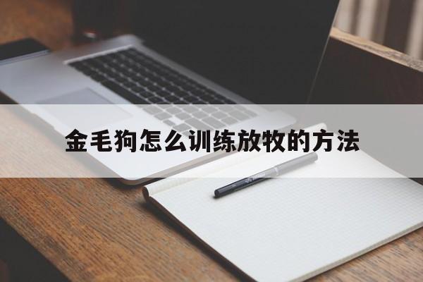 金毛狗怎么训练放牧的方法(怎么训练金毛可以让金毛长时间在固定的位置上)