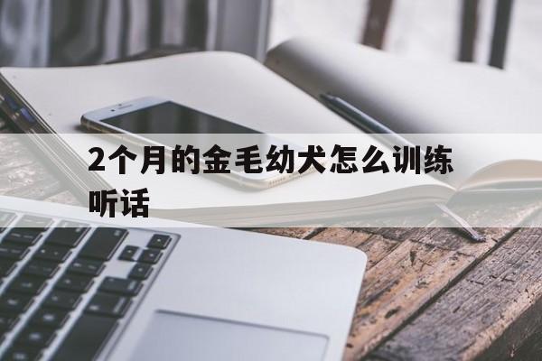 2个月的金毛幼犬怎么训练听话(2个月的金毛幼犬怎么训练听话的能力)