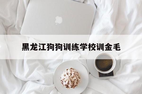 黑龙江狗狗训练学校训金毛的简单介绍