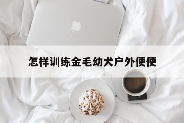 怎样训练金毛幼犬户外便便(怎样训练金毛狗排便才能既轻松效果又明显)