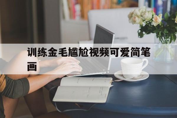 训练金毛尴尬视频可爱简笔画的简单介绍