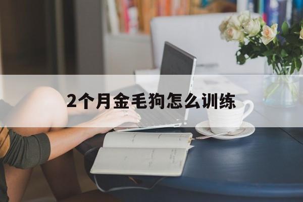 2个月金毛狗怎么训练(两个月大的金毛怎么驯养)