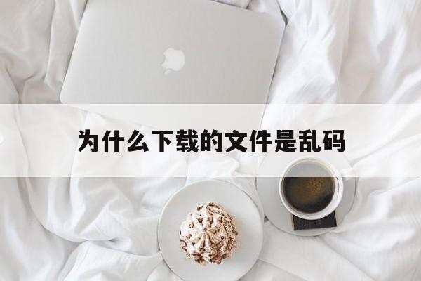 为什么下载的文件是乱码(为什么下载的文件打开是乱码)