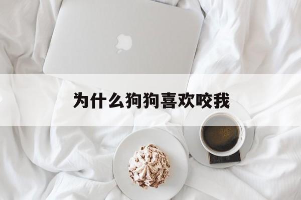 为什么狗狗喜欢咬我(为什么狗狗喜欢咬我的鞋)